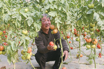 山东寿光蔬菜产品远销海外