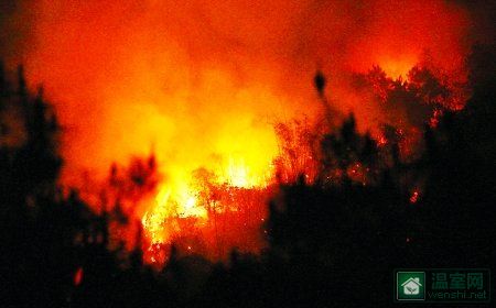 连晴高温重庆市中梁山突发山火森林被毁 火药库遇险