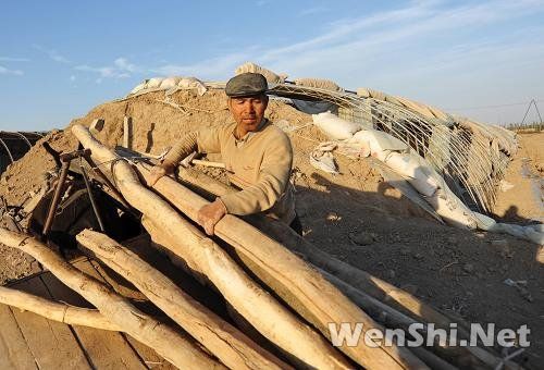 新疆吐鲁番大风引发火灾 农户大棚被毁